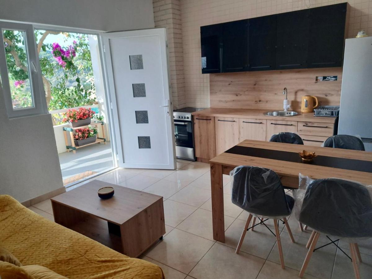 Apartment Vujcic Donji Okrug  Bagian luar foto
